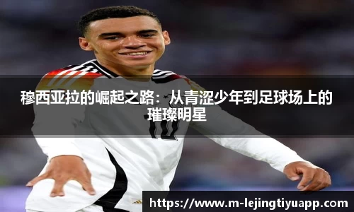 乐竞体育app